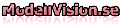 ModellVision
